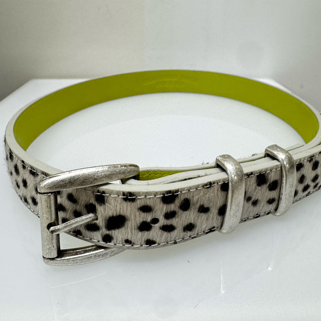 101 Dalmatian Belt