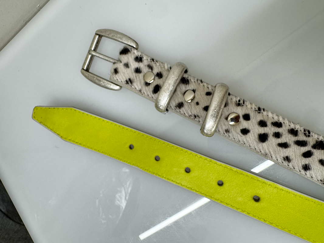 101 Dalmatian Belt