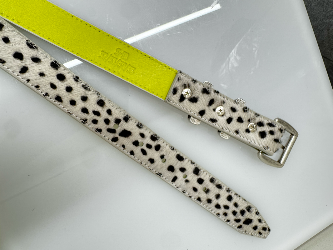 101 Dalmatian Belt