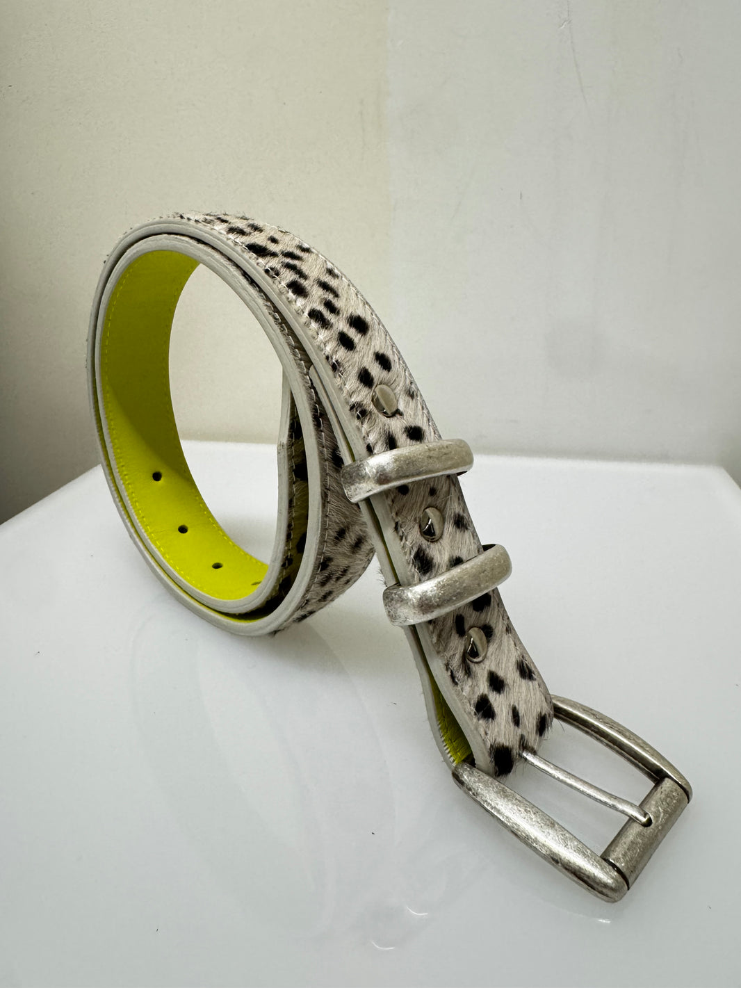 101 Dalmatian Belt